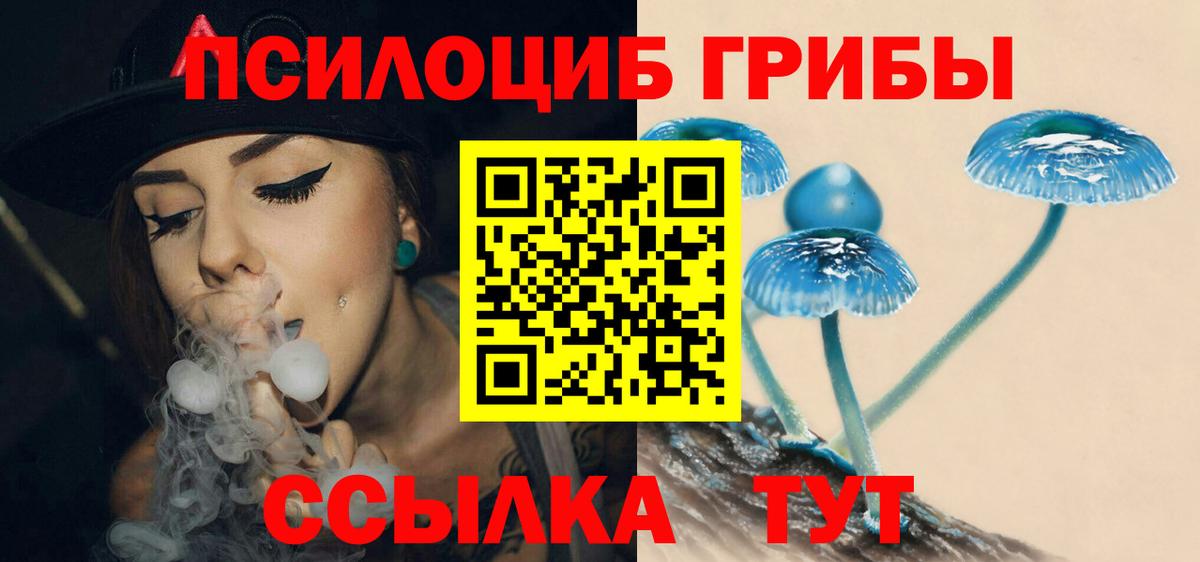 Зеленодольск  Псилоцибиновые грибы ЛСД  Вход с VPN 